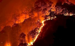 148 Titik Panas Terdeteksi di Sarawak, Kabut Asap Kalbar Mulai Terbawa Angin ke Malaysia