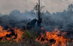 Antisipasi Karhutla, Kapolres Selayar Imbau Warga Tak Bakar Lahan di Musim Kemarau