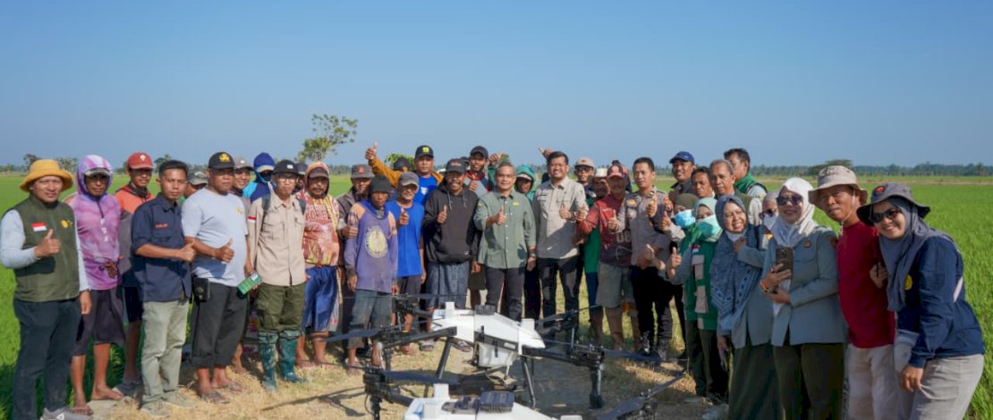Pemkab Pinrang Dorong Pemanfaatan Drone untuk Efisiensi Pengendalian Hama Padi