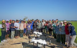 Pemkab Pinrang Dorong Pemanfaatan Drone untuk Efisiensi Pengendalian Hama Padi