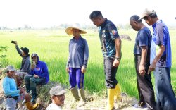 Bantu Petani Ditengah El Nino, Bupati Bantaeng Bersama Masyarakat Bersihkan Irigasi di Desa Biangloe