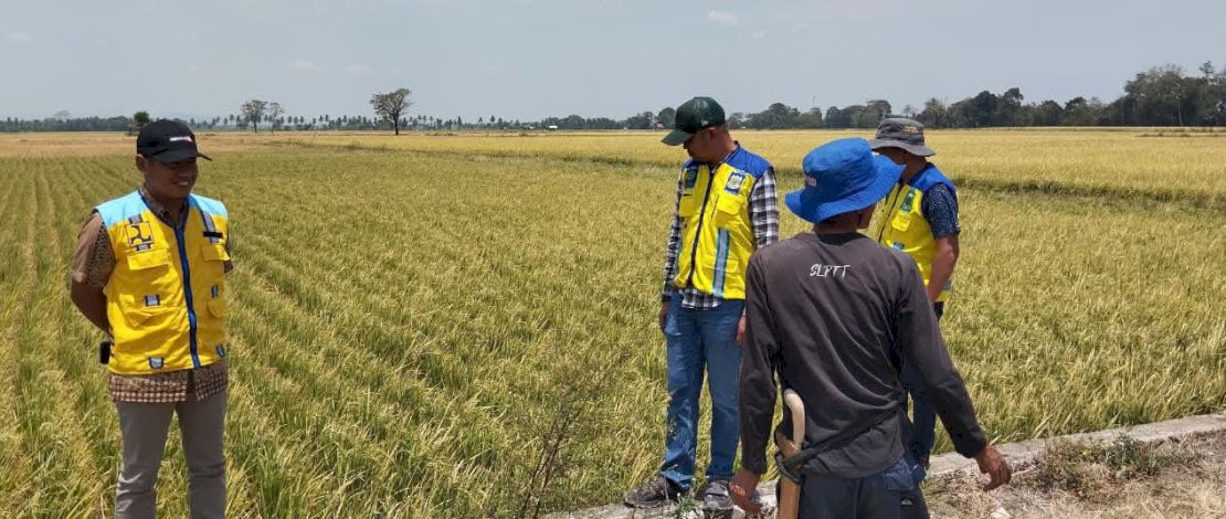 Pemkab Pinrang Cari Sumber Air Alternatif untuk Selamatkan Lahan Pertanian
