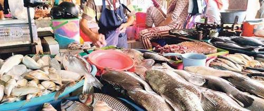 Ikan menjadi salah satu komoditas penyumbang inflasi di Luwu Timur.