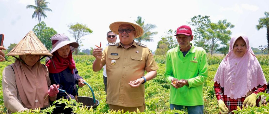 Bupati Takalar Resmikan Irigasi, Panen Cabai dan Serahkan Alsintan ke Petani Moncongkomba