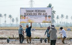 Pinrang Mulai Terapkan Teknologi Pertanian Modern di 7.900 Hektare, Sudirman Bungi Tekankan Pendampingan Petani