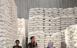 Bulog Pinrang Serap 151.450 Ton Gabah dan Beras, Lampaui Target Tahunan 137,6 Persen
