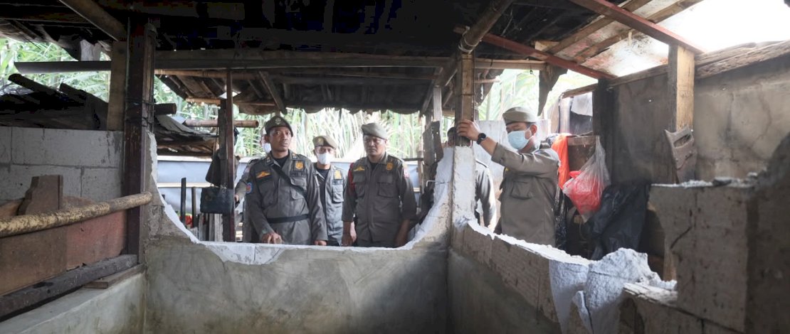 Pemkot Makassar Tertibkan Peternakan Babi di Panaikang, Fasilitasi Pemindahan Ternak Milik Warga