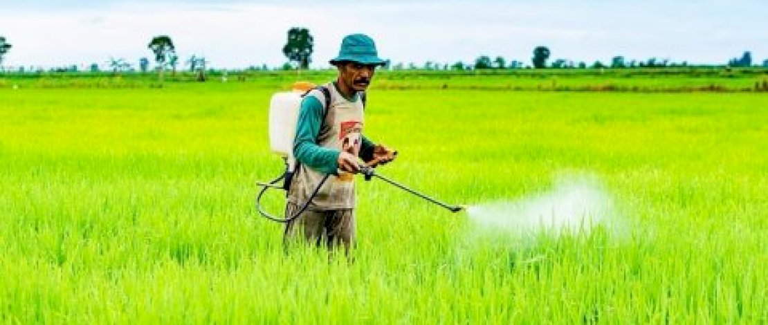 Permudah Petani Jangkau Seluruh Area Pertanian, Kementan Siapkan 1000 JUT