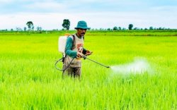 Permudah Petani Jangkau Seluruh Area Pertanian, Kementan Siapkan 1000 JUT