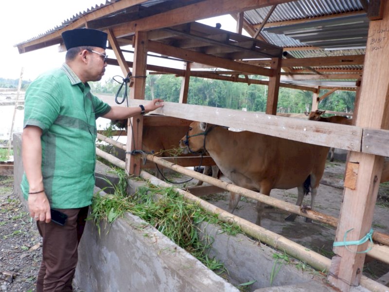 Andi Akmal Pantau Realisasi UPPO di Bulukumba