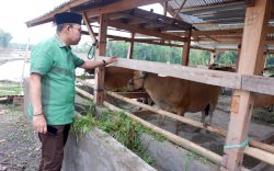 Andi Akmal Pantau Realisasi UPPO di Bulukumba