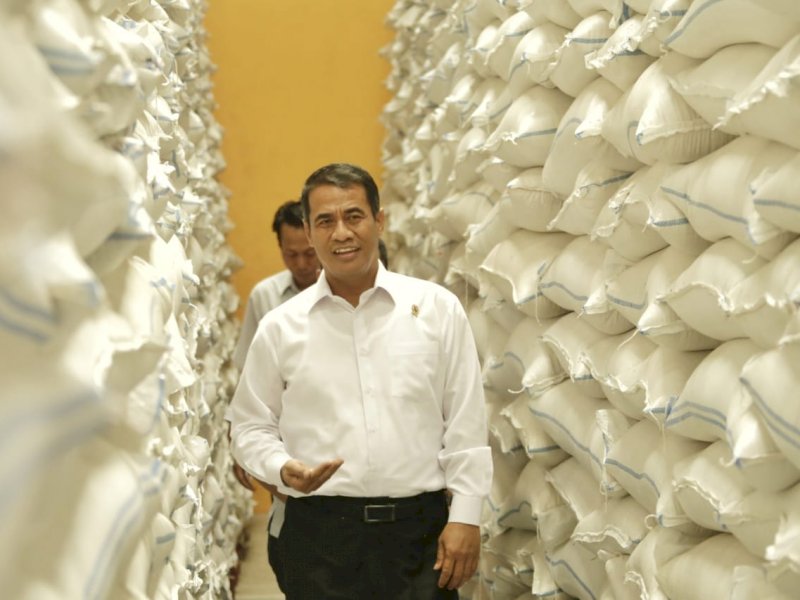 Tekan Impor, Mentan Maksimalkan Penggunaan 10 Hektare Lahan Rawa 