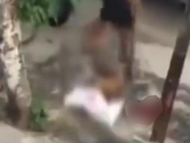 Kekerasan Terhadap Anjing Berujung Sayembara Berhadiah Rp13 Juta