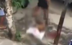 Kekerasan Terhadap Anjing Berujung Sayembara Berhadiah Rp13 Juta