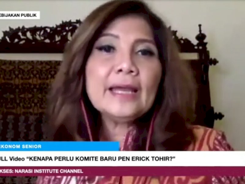 Aviliani: Komite Baru PEN Erick Thohir Tidak Ada Urgensinya, Hanya Menambah Birokrasi