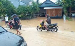 Banjir di Luwu Rendam Rumah Warga di Empat Kecamatan