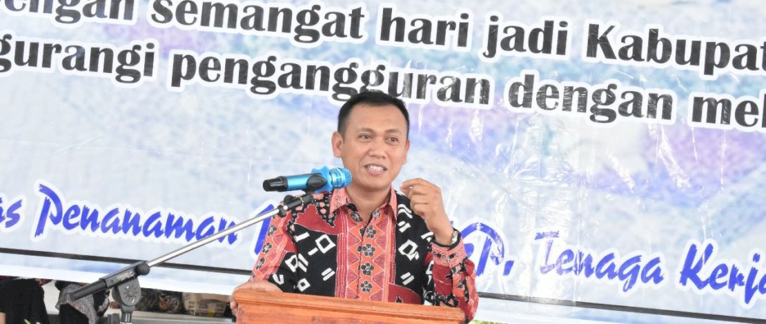 Bupati Takalar, Syamsari Bupati Takalar, Syamsari