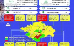 Update Situasi Terkini Covid-19 di Provinsi Sumatera Selatan