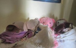 Adik Bersihkan Kamar, Aksi Duda Curi Ribuan BH Terbongkar