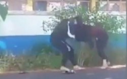 Berawal Saling Sindir di Story WA, Dua Gadis Sinjai Ini Janjian Duel di Pinggir Got