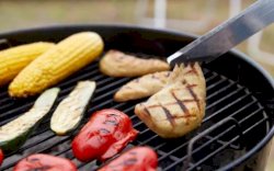 Singapura, Negara Pertama yang Jual Daging Ayam dari Hewan Tak Disembelih