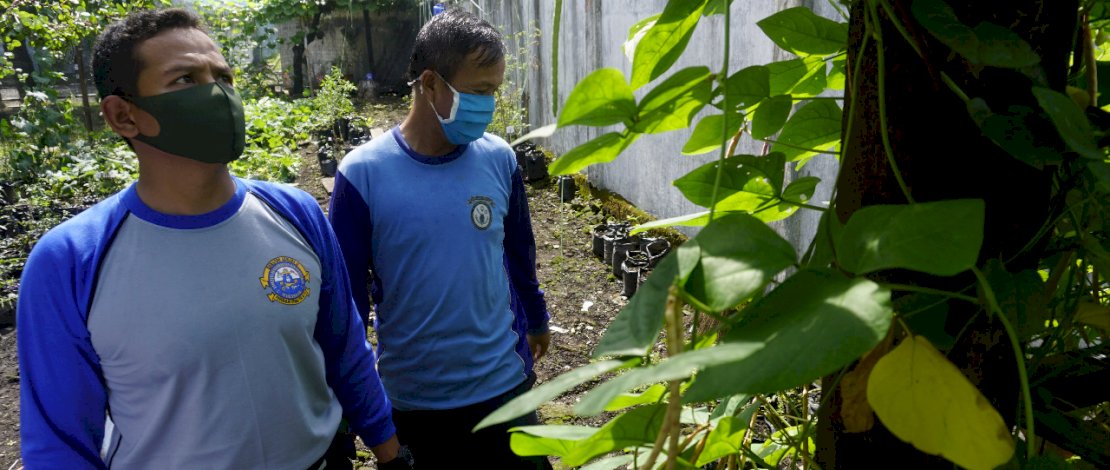 Personel Fasharkan Makassar bercocok tanam di sekitar bengkel di Mako Lantamal VI.