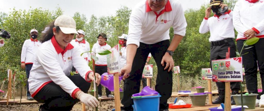 Gubernur Sumsel H Herman Deru bersama istri, melakukan penanaman mangrove.