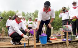 HD Dukung Taman Mangrove Sungsang Jadi Destinasi Wisata Ramah Lingkungan