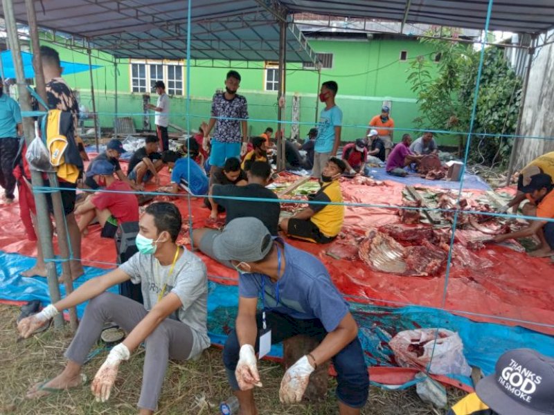 Masjid Nurul Fatah Manokwari Potong 13 Kurban