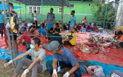 Masjid Nurul Fatah Manokwari Potong 13 Kurban