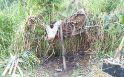 Diduga Sudah Tewas Dibunuh 5 Tahun Lalu, Pria Ini Tiba-tiba Muncul dari Semak-semak