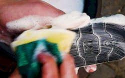 Ini Smartphone Antimikroba Pertama di Dunia, Bisa Dicuci Air