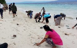 Warga Maluku Heboh Fenomena Ikan Hidup Terdampar di Pantai 