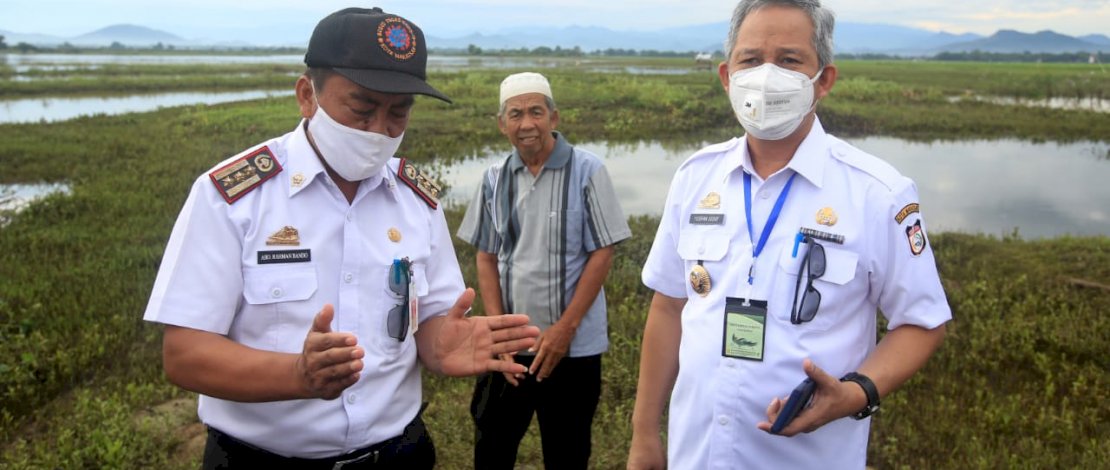 Pj Wali Kota Makassar, Prof Yusran Jusuf saat meninjau areal persawahan.