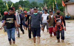 Bupati Luwu Sebut 50 Desa Terendam Banjir, Warga Diminta Waspada