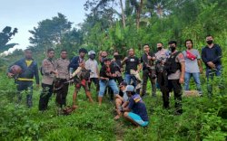 Pelaku Judi Sabung Ayam Digulung Timsus Polres Sinjai, Puluhan Ayam dan Kendaraan Diamankan