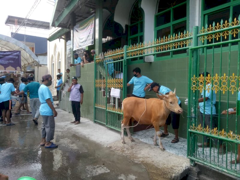 Masjid Jabal Nur Muhammadiyah Maccini Kurban 31 Ekor Sapi