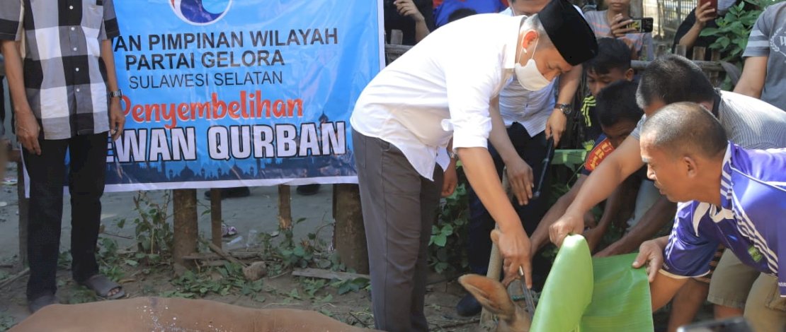 Penyembelihan hewan kurban Partai Gelora Sulsel.