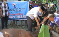 Syamsari Kitta Pimpin Penyembelihan Kurban, Blue Helmet Partai Gelora Bagikan Daging Kurban di Masamba