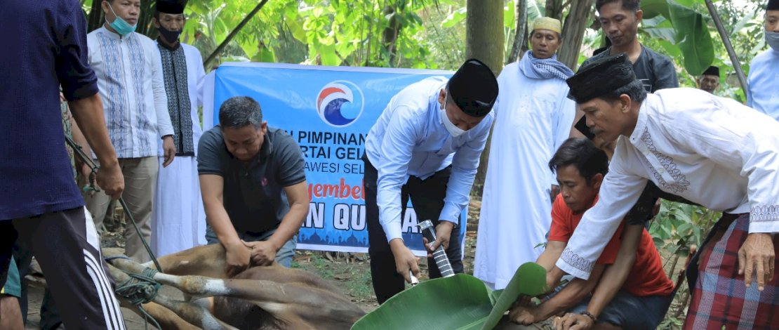 Penyembelihan hewan kurban Partai Gelora Sulsel.