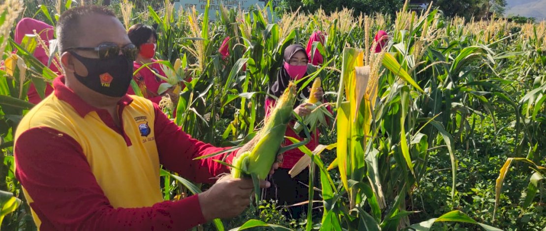 Brimob Parepare dan Bhayangkari Panen Raya Hasil KRPL