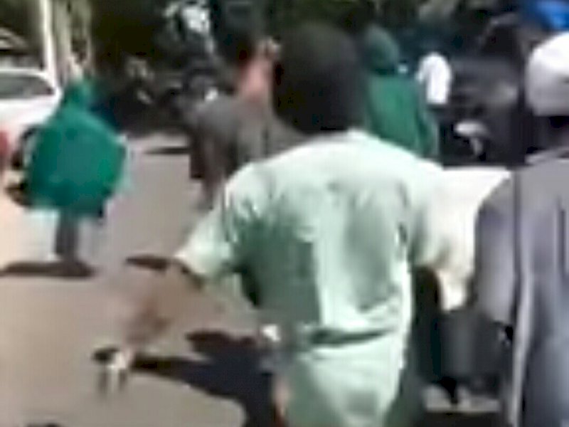 Astaga! Jenazah yang Dibawa Kabur dari RSKD Dadi dan RSUD Labuang Baji Positif Covid-19