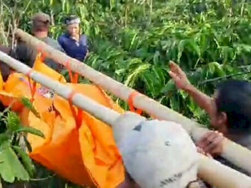 Cekcok Soal Ekonomi, Khoirul Tebas Istri dan Anak di Kebun Kopi