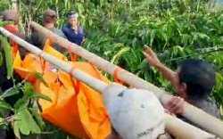 Cekcok Soal Ekonomi, Khoirul Tebas Istri dan Anak di Kebun Kopi