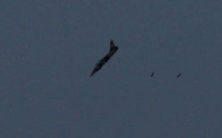 Jet Tempur Israel Gempur Jalur Gaza