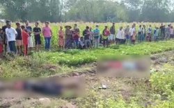 Jebakan Tikus Akhiri Hidup Satu Keluarga