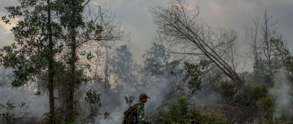 Seorang warga tampak memadamkan api yang membakar hutan dan lahan di Sumsel.