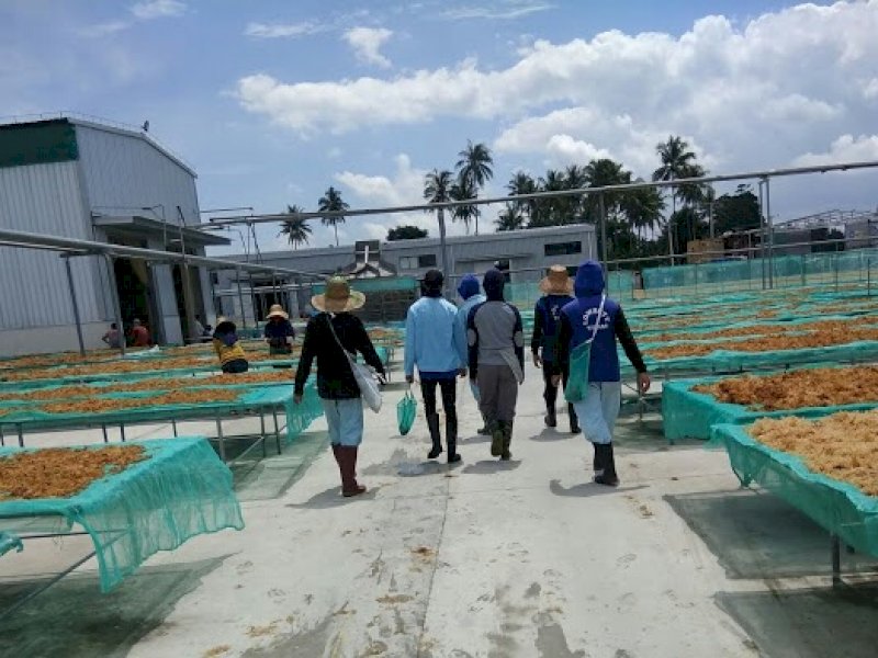 Tetap Beli Rumput Laut Petani dan Tidak PHK Karyawan Meski Pandemi, Gubernur Apresiasi PT BLG