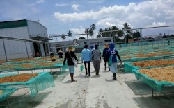 Tetap Beli Rumput Laut Petani dan Tidak PHK Karyawan Meski Pandemi, Gubernur Apresiasi PT BLG