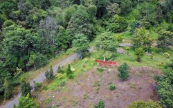 Kebun Raya Pucak Disiapkan Jadi Destinasi Wisata Andalan Sulsel